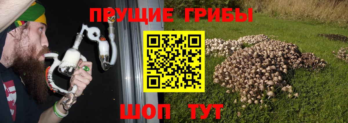 Псилоцибиновые грибы ЛСД Октябрьский