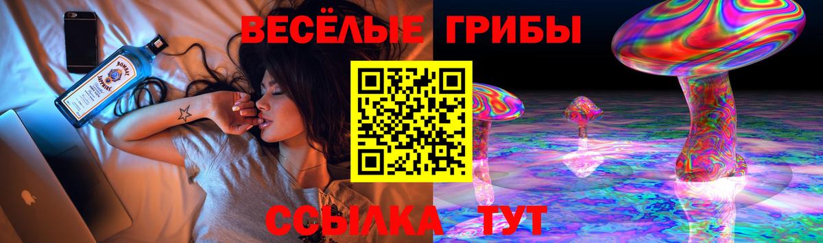 Октябрьский  Галлюциногенные грибы Psilocybe  Вход с VPN 